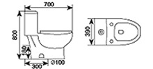 5547 measurement