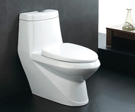 Washdown one-piece toilet no.5526