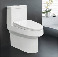 Washdown one-piece toilet no.5529