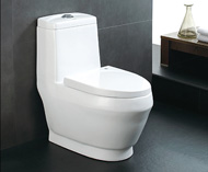 Washdown one-piece toilet no.5530