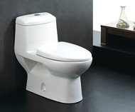 Washdown one-piece toilet no.5547