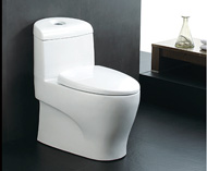 Washdown one-piece toilet no.5564