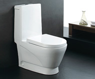 Washdown one-piece toilet no.5591