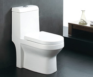 Washdown one-piece toilet no.5598