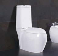 Washdown one-piece toilet no.5819B